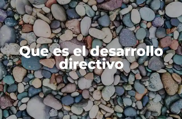 Que es el Desarrollo Directivo