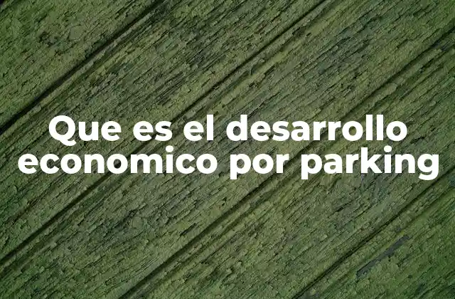 Que es el Desarrollo Economico por Parking