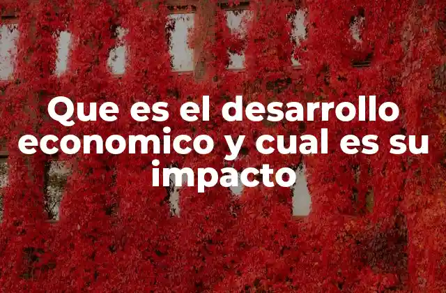 Que es el Desarrollo Economico y Cual es Su Impacto