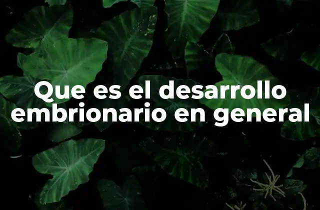 Cómo se inicia el proceso de formación del embrión