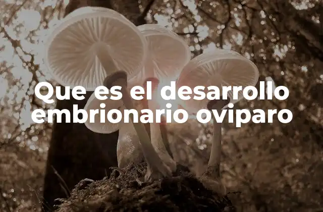 Que es el Desarrollo Embrionario Oviparo 2 El proceso de desarrollo en especies ovíparas