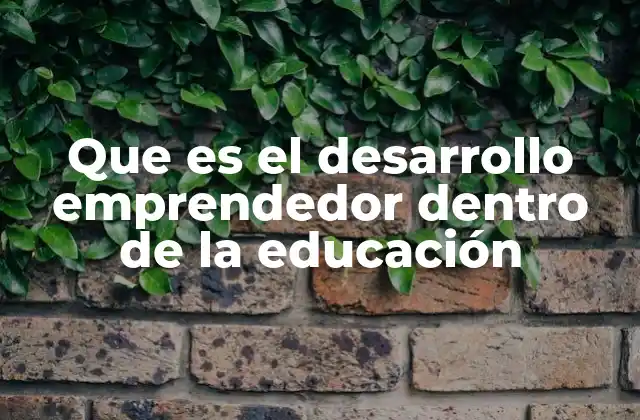Que es el Desarrollo Emprendedor Dentro de la Educación