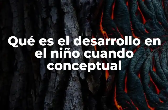 Qué es el Desarrollo en el Niño Cuando Conceptual
