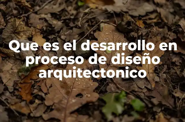 Que es el Desarrollo en Proceso de Diseño Arquitectonico