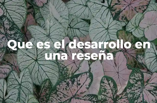 Que es el Desarrollo en una Reseña