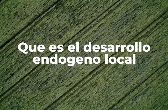 Que es el Desarrollo Endogeno Local 2 La importancia del enfoque desde dentro hacia afuera