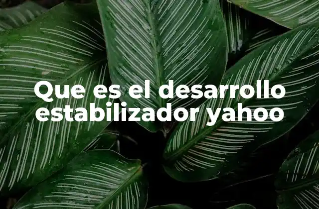 Que es el Desarrollo Estabilizador Yahoo