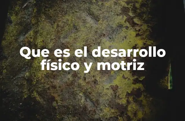 Que es el Desarrollo Físico y Motriz