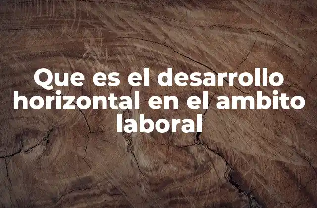 Que es el Desarrollo Horizontal en el Ambito Laboral