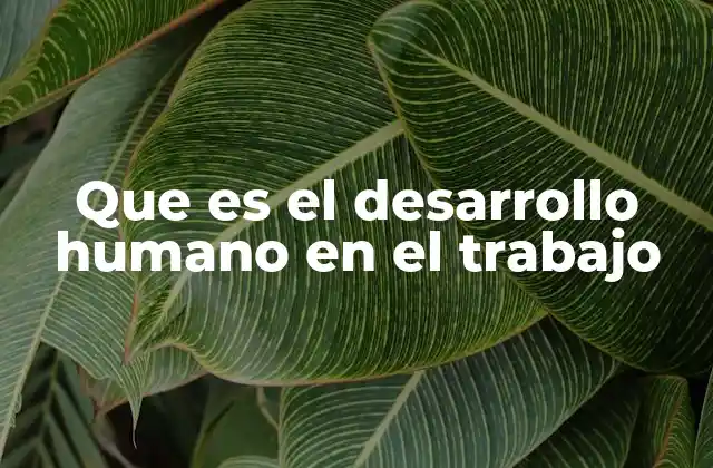 Que es el Desarrollo Humano en el Trabajo