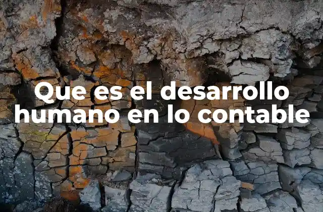Que es el Desarrollo Humano en Lo Contable