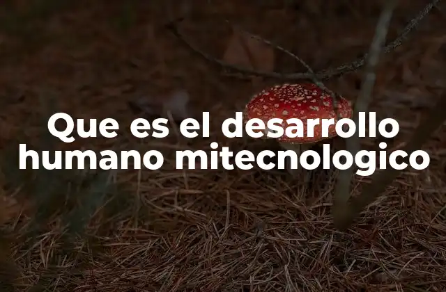 Que es el Desarrollo Humano Mitecnologico