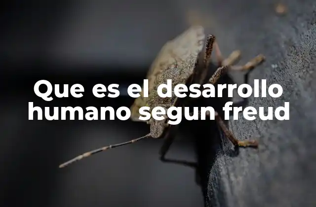 El enfoque psicoanalítico del desarrollo humano