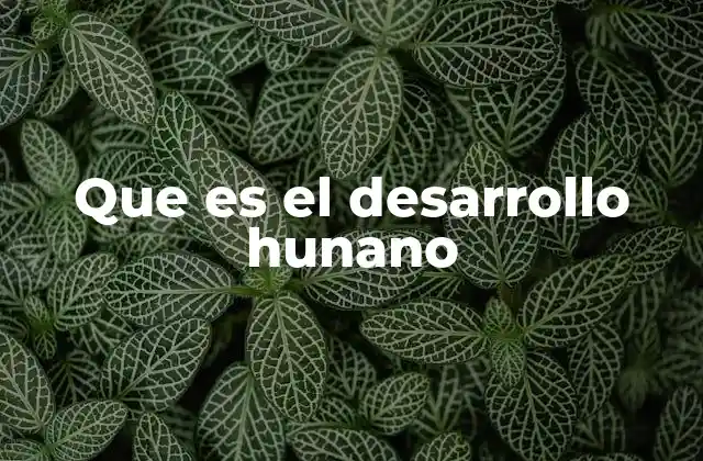 Que es el Desarrollo Hunano