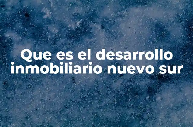 Estrategias urbanísticas detrás del Nuevo Sur