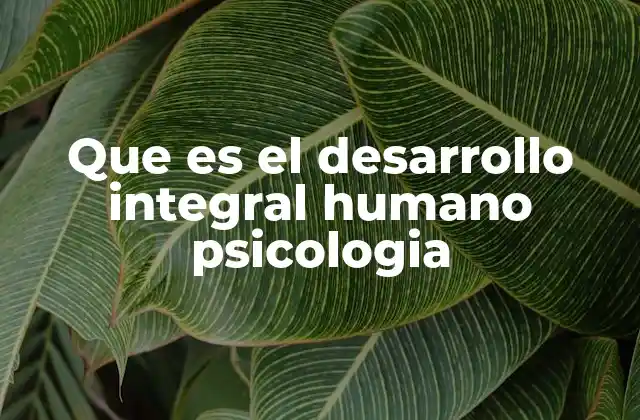 La importancia del enfoque holístico en el crecimiento personal