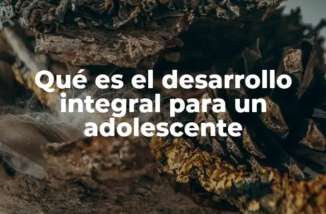 Qué es el Desarrollo Integral para un Adolescente