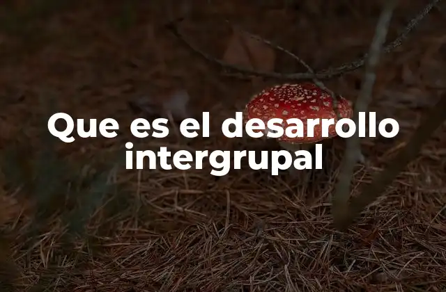 Que es el Desarrollo Intergrupal