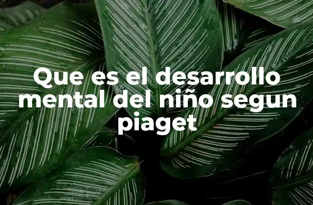 Que es el Desarrollo Mental Del Niño Segun Piaget