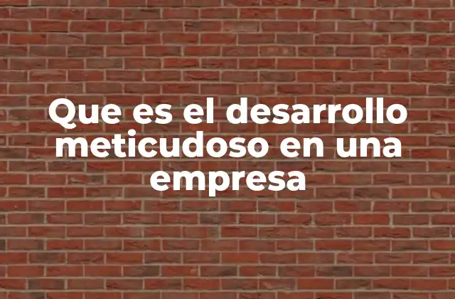 Que es el Desarrollo Meticudoso en una Empresa