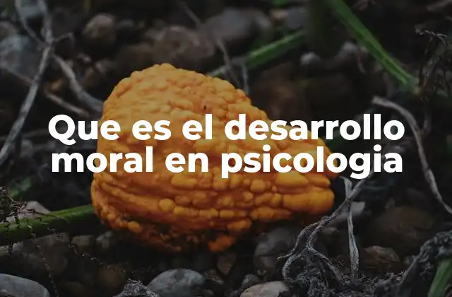 Que es el Desarrollo Moral en Psicologia 2 Cómo evoluciona la comprensión ética a lo largo de la vida