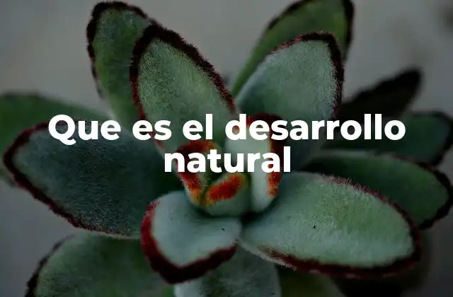 Que es el Desarrollo Natural
