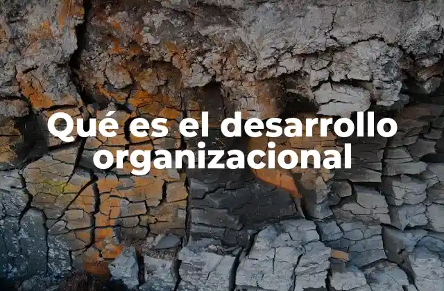 Qué es el Desarrollo Organizacional