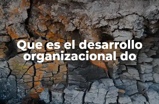 Que es el Desarrollo Organizacional Do