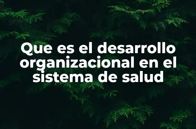 Que es el Desarrollo Organizacional en el Sistema de Salud