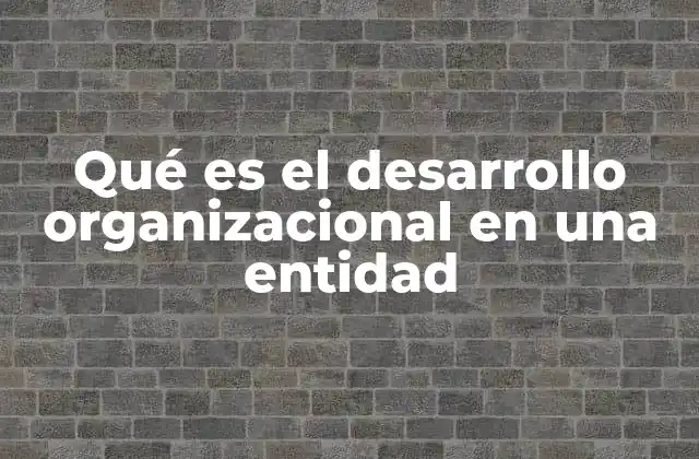 Qué es el Desarrollo Organizacional en una Entidad