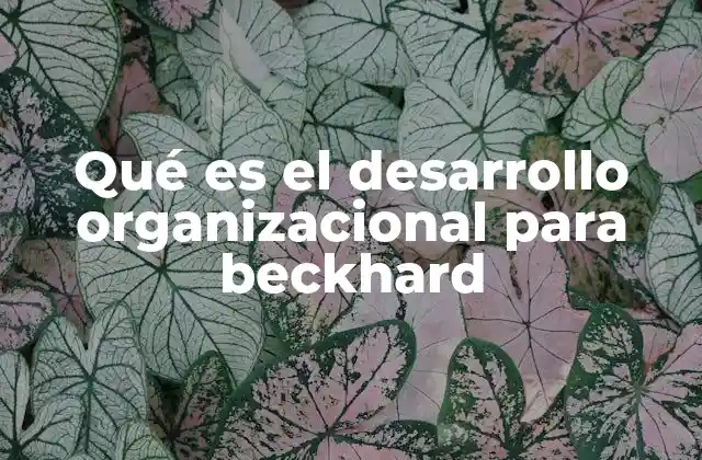 Qué es el Desarrollo Organizacional para Beckhard