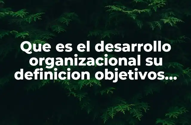 Que es el Desarrollo Organizacional Su Definicion Objetivos Persigue