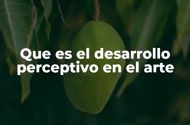 Que es el Desarrollo Perceptivo en el Arte