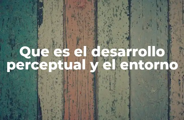 Que es el Desarrollo Perceptual y el Entorno