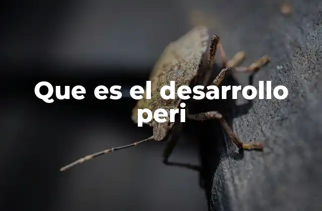 Que es el Desarrollo Peri