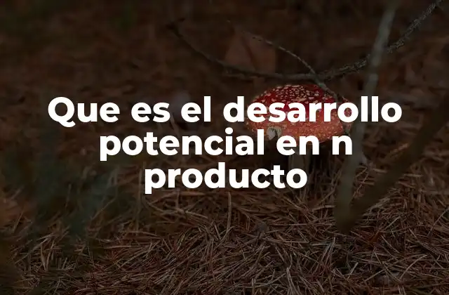 Que es el Desarrollo Potencial en N Producto