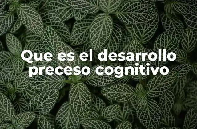 Que es el Desarrollo Preceso Cognitivo