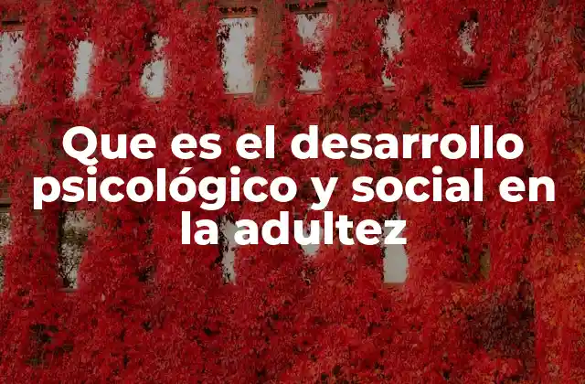 Que es el Desarrollo Psicológico y Social en la Adultez