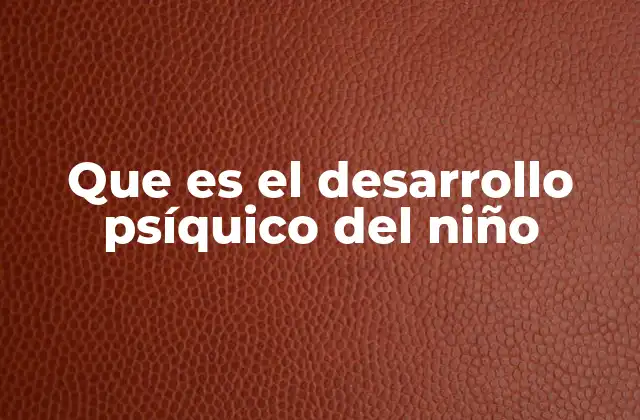 Que es el Desarrollo Psíquico Del Niño