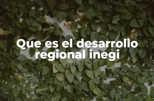 Que es el Desarrollo Regional Inegi 2 La medición del progreso territorial a través de estadísticas oficiales