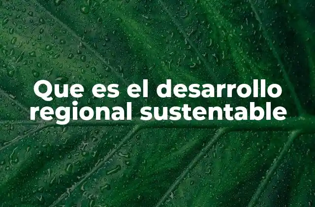 Que es el Desarrollo Regional Sustentable