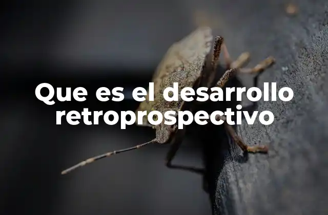 Que es el Desarrollo Retroprospectivo