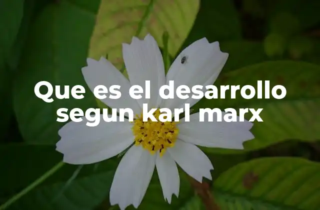 Que es el Desarrollo Segun Karl Marx