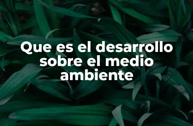 Que es el Desarrollo sobre el Medio Ambiente