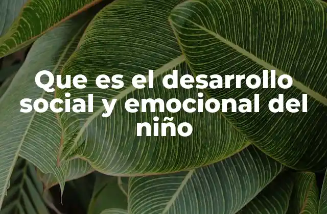 Que es el Desarrollo Social y Emocional Del Niño