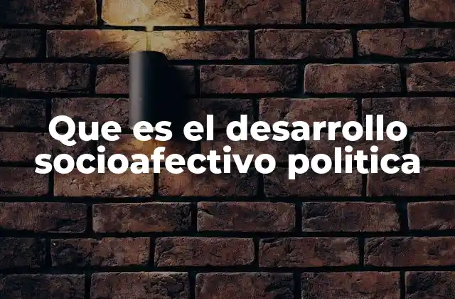 Que es el Desarrollo Socioafectivo Politica
