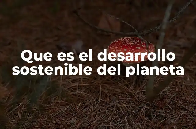 Que es el Desarrollo Sostenible Del Planeta