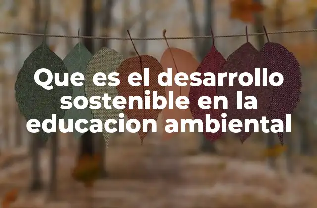 Que es el Desarrollo Sostenible en la Educacion Ambiental