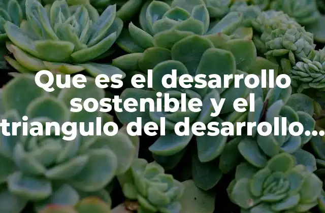 Que es el Desarrollo Sostenible y el Triangulo Del Desarrollo Sostenible