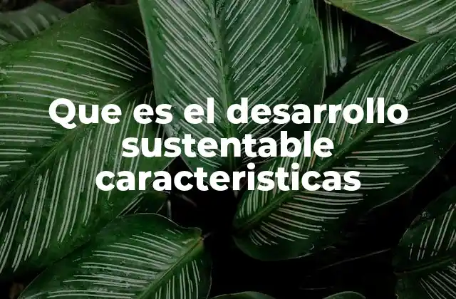 Que es el Desarrollo Sustentable Caracteristicas
